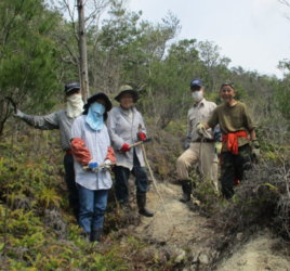 まつたけ再生・復活推進協議会